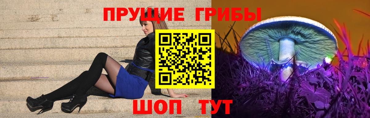Псилоцибиновые грибы прущие грибы Чайковский