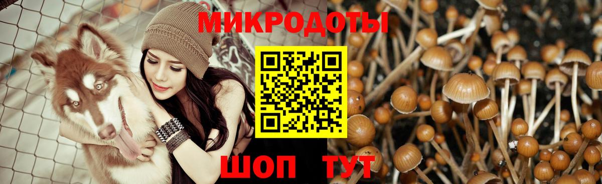 Галлюциногенные грибы GOLDEN TEACHER  Вход с VPN  Чайковский  Псилоцибиновые грибы Psilocybine cubensis 